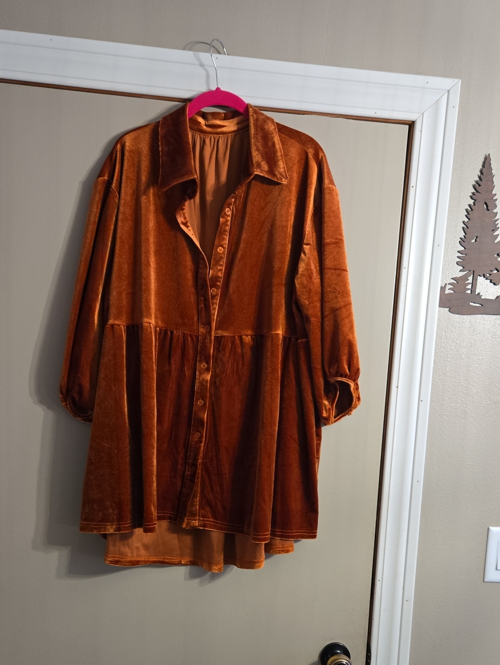 Rust Velvet Button-Front Tunic Dress